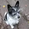 Danielle1987Gerlach - @danielle1987gerlach - TikTok