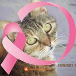 Danielle Gervais - @danielle.gervais.779 - Instagram