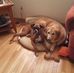Danielle Gillett - Facebook