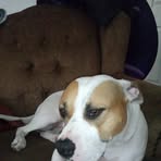 Danielle Gillett - Facebook