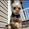 Danielle Gillis - @daniellegillis2 - TikTok