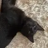 Danielle Gilmore - @danielle.gilmore2 - TikTok