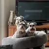 Danielle Gilmour - @danielle.gilmour - TikTok