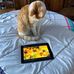 Danielle Giraud - Facebook