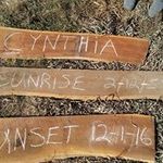 Danielle Goforth - @daniellegoforth - Instagram