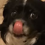 This Is Just A Stupid Page - @daniellegogannn - Instagram
