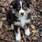 Danielle Mercy Jane Goodlett - @2004danielle - Instagram