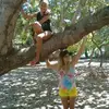 danielle purificação Gottschalk da silva - @daniellegottschalk - TikTok