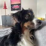 Danielle Grabowski - @soul.soft.lover - Instagram
