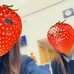 Dani Grealey - Facebook