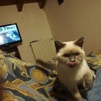Daniele Grassi - Facebook