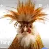lucieimfqqp - @daniellegrenierisexhmdc - TikTok