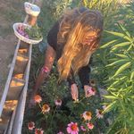 @daniellegrows - Instagram