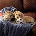 Danielle Guarnieri - Facebook