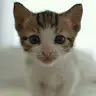 Danielle Guedes - @danielleguedes7 - TikTok