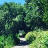 danielle__guerin - @danielle__guerin - TikTok