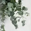 Danielle Gulley - @danielle.gulley - TikTok