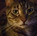 Danielle Gullickson - Facebook