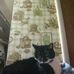 Danielle Gullickson - Facebook