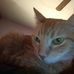 Danielle Gullickson - Facebook