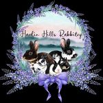 Danielle Hardin - @hardinhillsrabbitry - Instagram