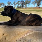 Danielle Harding - @danielle3092000 - Instagram