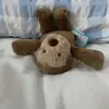 Jellycat lover🤎✨🤎✨ - @danielleharding661 - TikTok