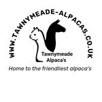 Danielle Harman - @tawnymeade_alpacas - Instagram