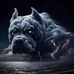 Danielle Hackshaw - Facebook