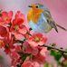 Danielle Hass - Facebook