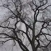 daniellehassell52 - @daniellehassell52 - TikTok