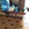 Danielle Haven - @danielle.haven - TikTok