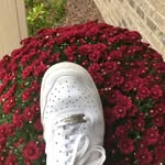 Danielle Hildenbrand - @haven.danielle.grace - Instagram