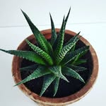 Danielle_Heather_28 - @danielle_heather_28 - Instagram