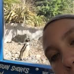 Danielle Heather Goldsmith - @danielleheathergoldsmith - Instagram
