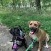 Danielle Hedden - Facebook