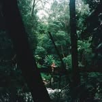 Danielle Heger - @thewitchettygrub - Instagram