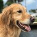 Dani Kirschner Helgeson - Facebook