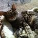 Danielle Helgeson - Facebook