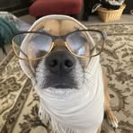 Danielle Helm - Facebook