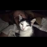 Daniellehelm_17 - @daniellehelm_17 - Instagram