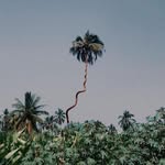 Daniele Helwig - @dlaniele_helwig - Instagram