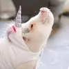 Danielle Hennessy - @daniellehennessy88 - TikTok