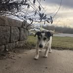 Danielle Hauberger - Facebook