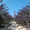 Danielle_Herrmann - @danielle_herrmann - TikTok