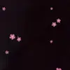 danielleherrmann3 - @danielleherrmann3 - TikTok