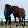 kallmemrskam - @taylordaniellehey - TikTok