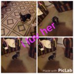 Katelyn Danielle Hiatt - @kk_hiatt_1 - Instagram