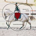 Danielle Hidalgo - @hidalgo_sporthorse - Instagram