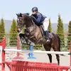 Danielle Hidalgo - @hidalgo_sporthorse - TikTok